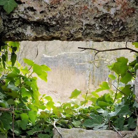 Dittrichs Eggolsheim